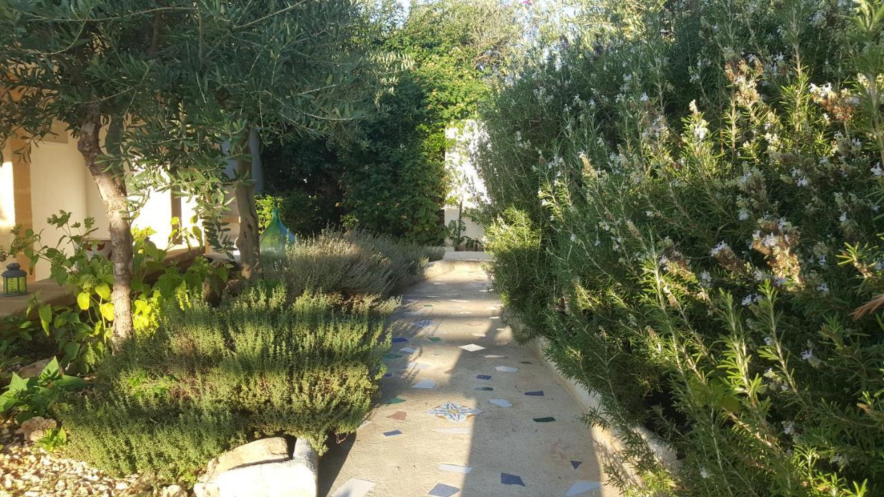 Villa Ceni - Appartamenti Con Camere, Cucina, Wc E Terrazza Sul Mare In Villa Con Piscina, Giardino E Parcheggio Marinella di Selinunte Kültér fotó
